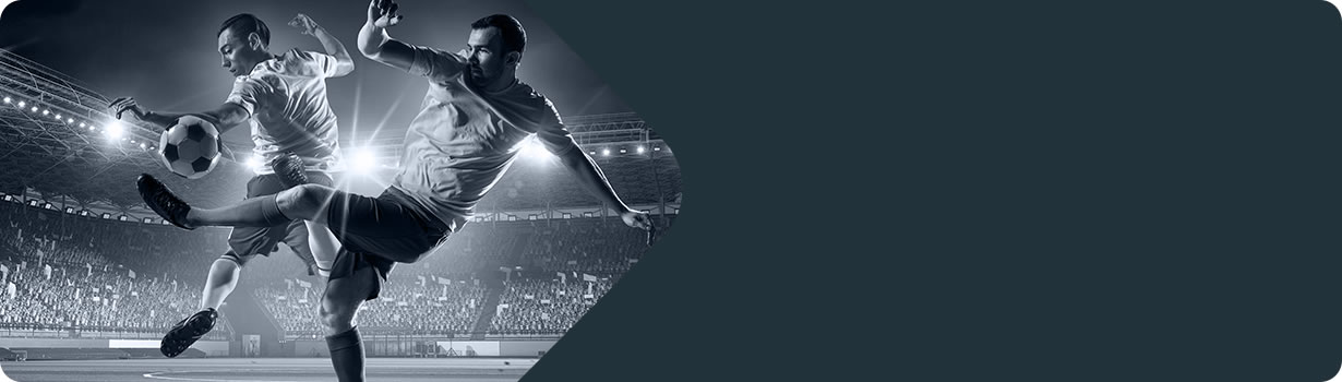 sudoku 247 expert thanksgiving
